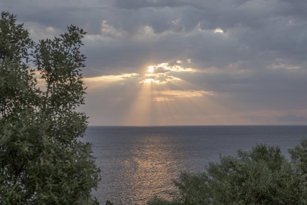 Pilio Sea Horizon Hotel Tsagkarada Buitenkant foto